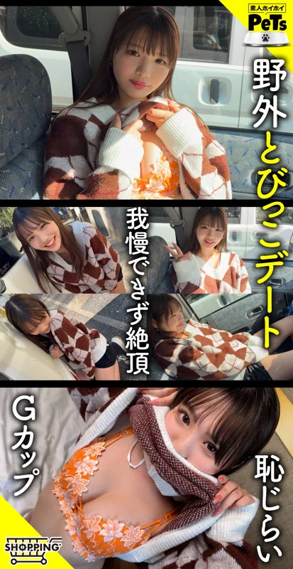 サンプル画像