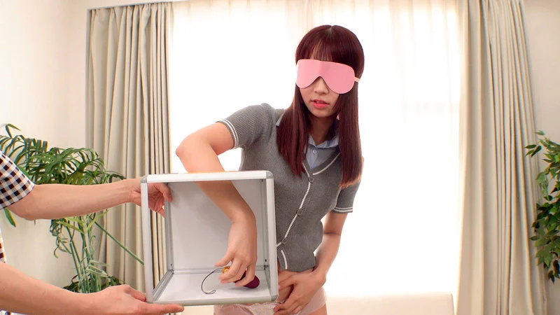 サンプル画像