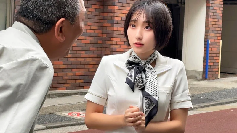 サンプル画像