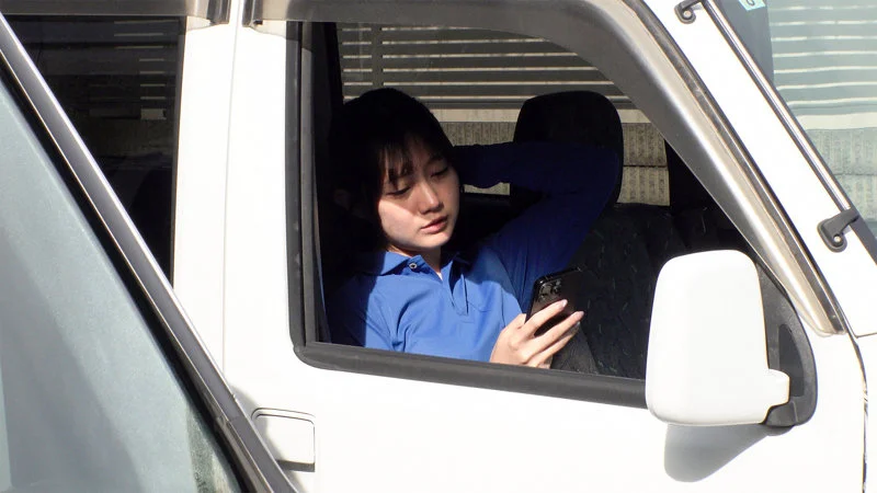 サンプル画像