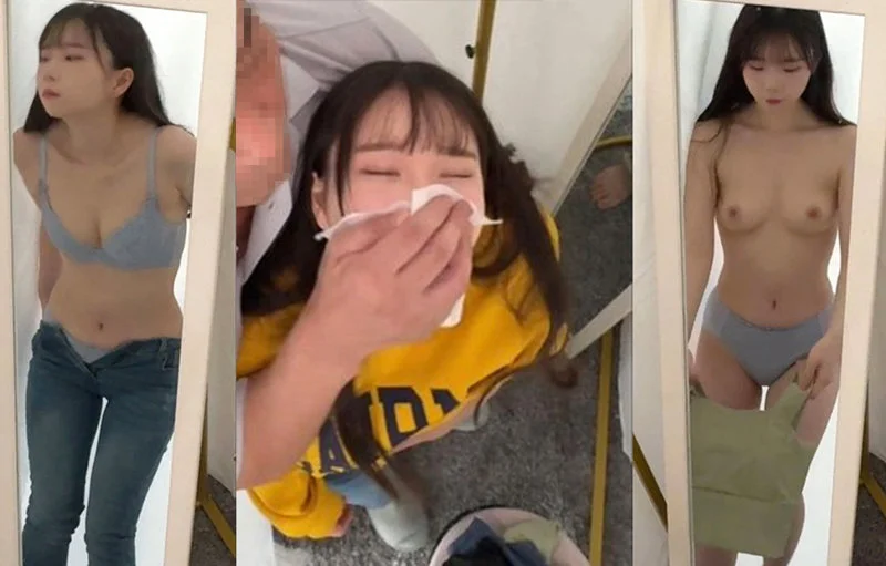 サンプル画像