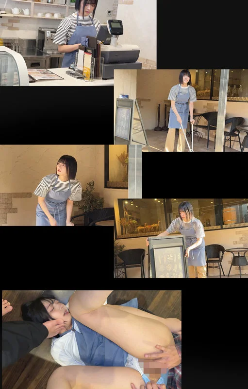 サンプル画像
