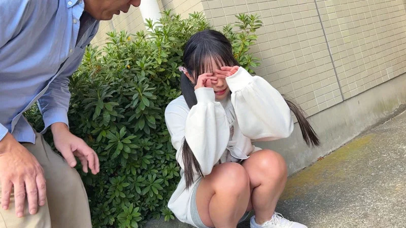 サンプル画像