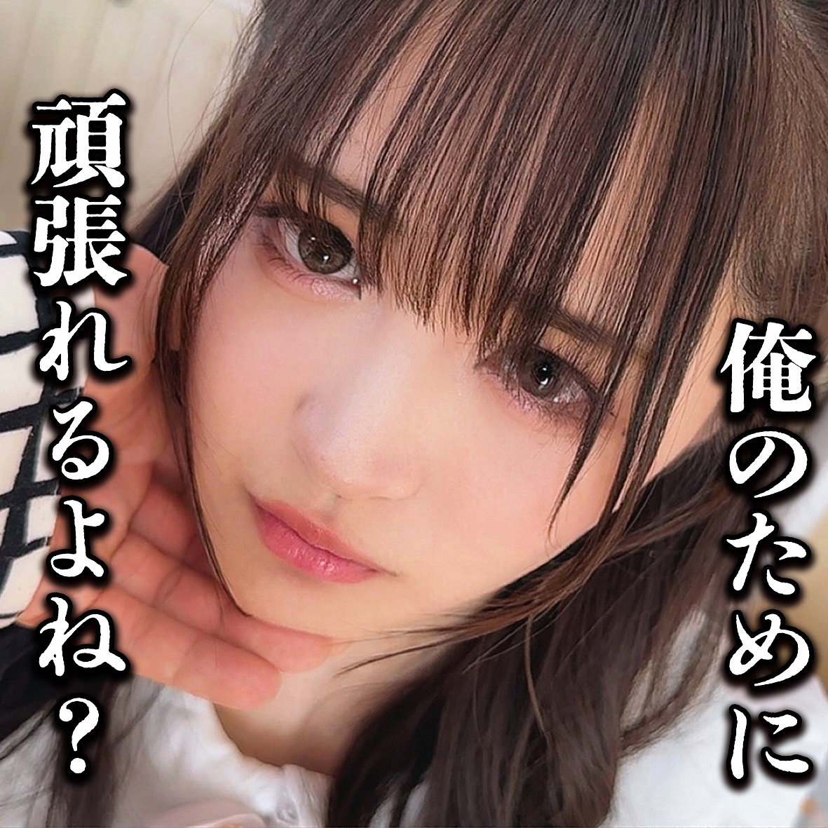 もえもあ アイキャッチ画像 【マニア向け名作カタログ【裏123】】