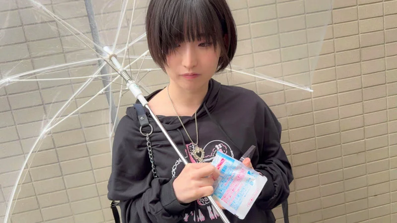 サンプル画像