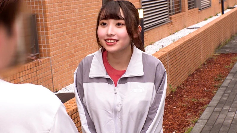 サンプル画像