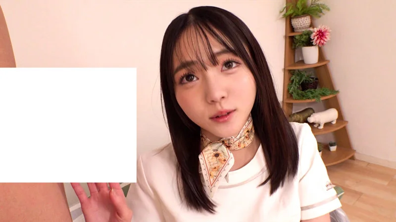 サンプル画像