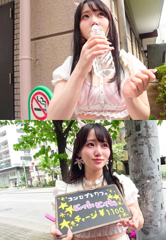 サンプル画像