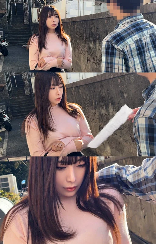 サンプル画像