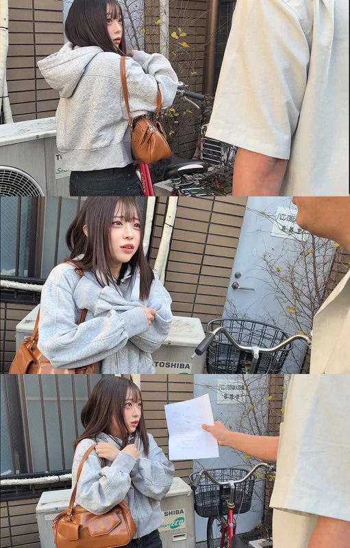 サンプル画像