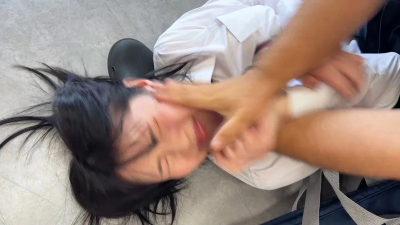 サンプル画像