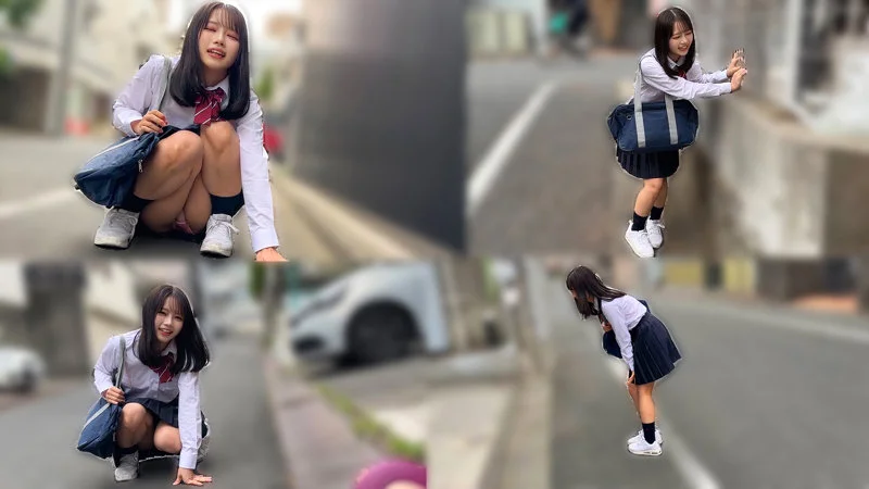 サンプル画像