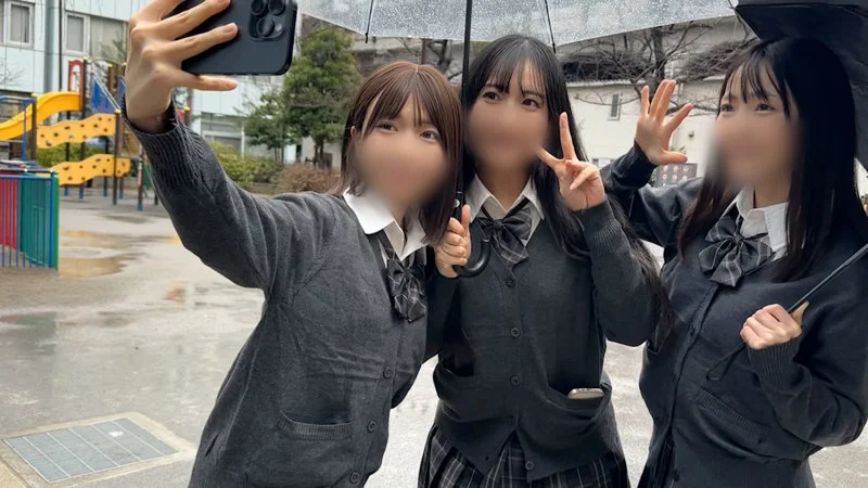 サンプル画像