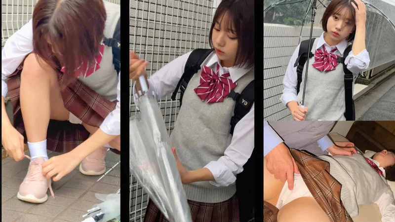 サンプル画像