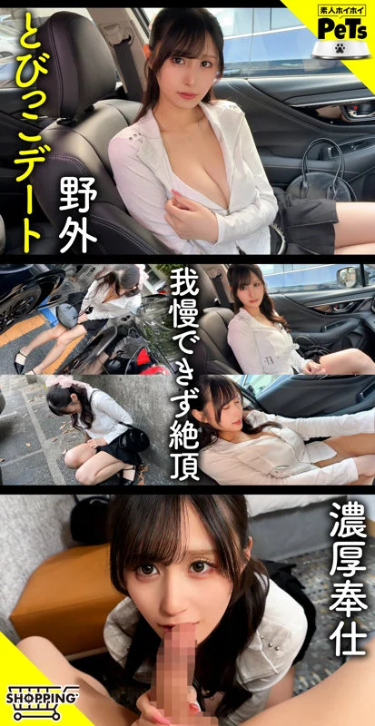 サンプル画像