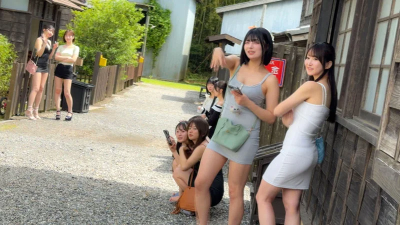 サンプル画像