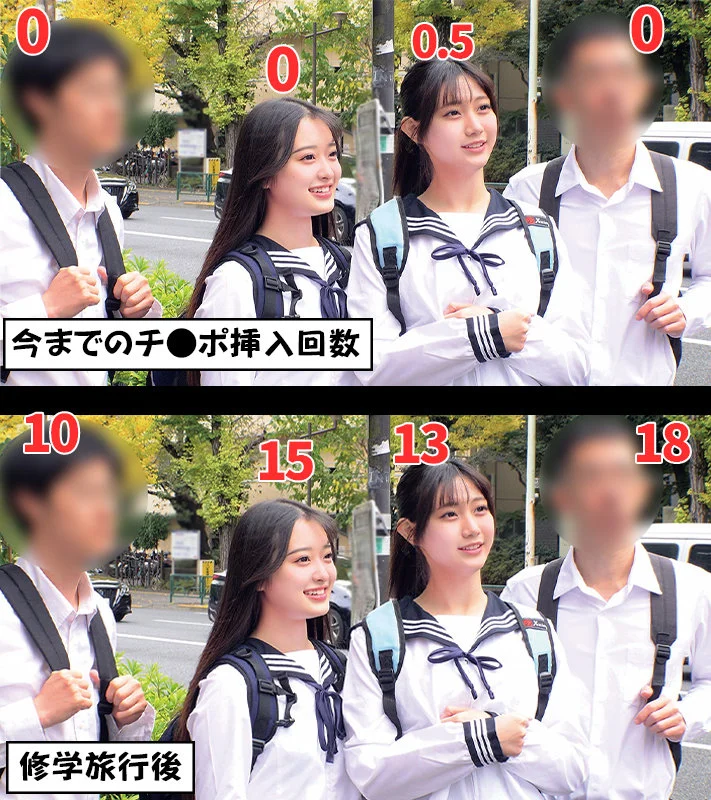 サンプル画像