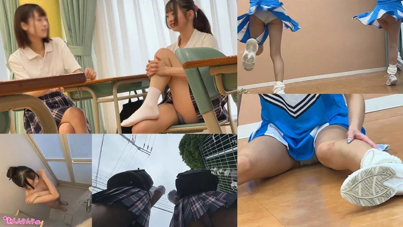 サンプル画像