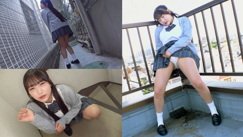 サンプル画像